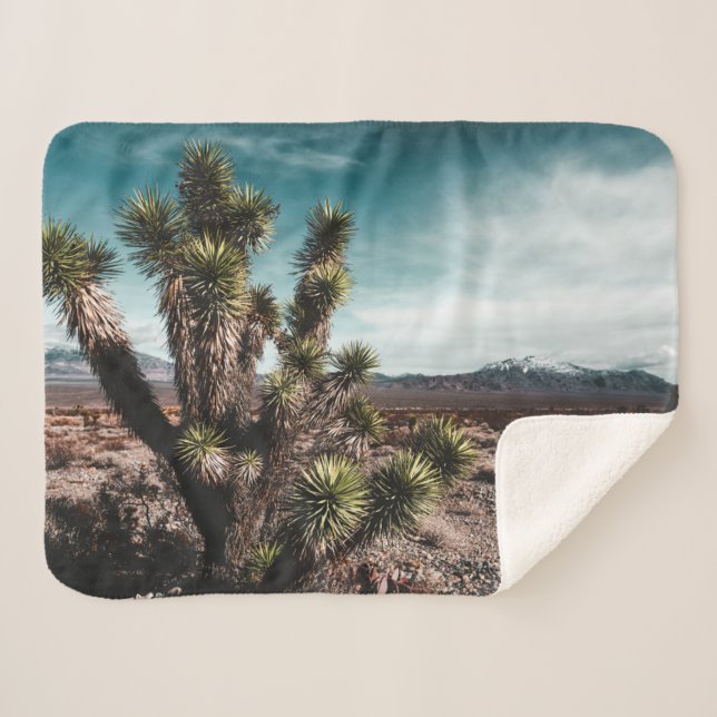 Cobertor Sherpa Deserts | Cholla Cactus (Frente (Horizontal))
