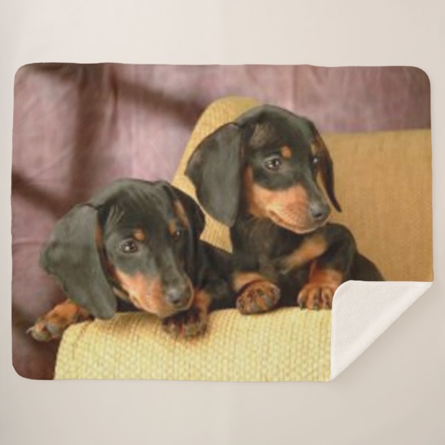 COBERTOR SHERPA DOIS DACHSUNDS (Frente (Horizontal))