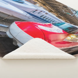 Cobertor Sherpa Dois Shinkansen na Estação de Tóquio