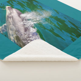 Cobertor Sherpa Dolphin In Milford Sound, Nova Zelândia