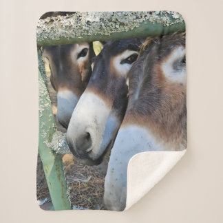 Cobertor Sherpa Donkey Love Sherpa Blanket