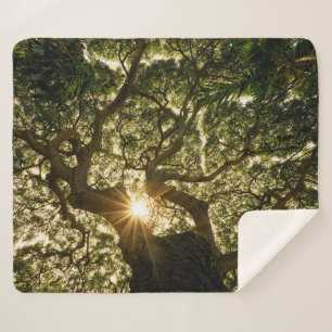 Cobertor Sherpa Dossel de árvore Sunstar do Banyan