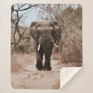 COBERTOR SHERPA ELEFANTE NEGRO CAMINHANDO NA AREIA MARROM