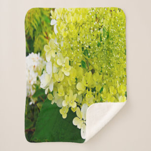 Cobertor Sherpa Elegante Hortênsia Limelight Verde Chartreuse