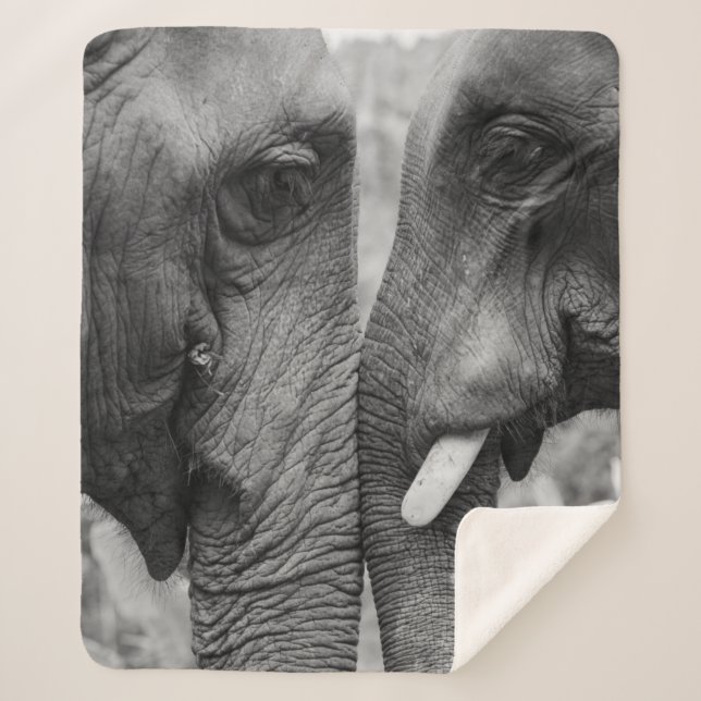 COBERTOR SHERPA ELEPHANT COUPLE (Frente)