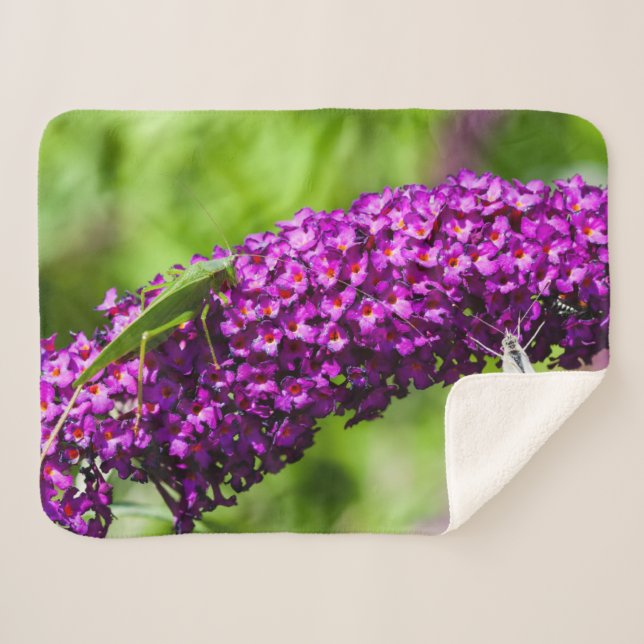 Cobertor Sherpa energia katydid (Frente (Horizontal))