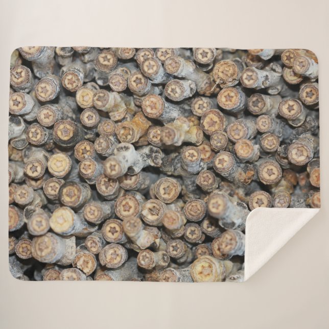 Cobertor Sherpa Estrelas ao longo do Rio Grande Cotton Wood Trees  (Frente (Horizontal))