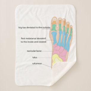 Cobertor Sherpa Estrutura do pé humano