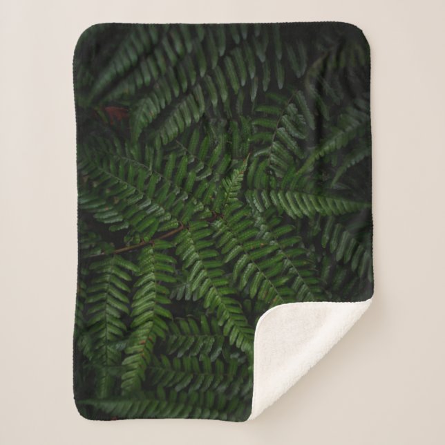 Cobertor Sherpa Fábrica de Fern (Frente)