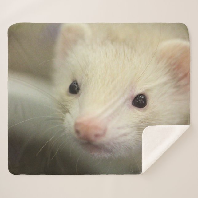 Cobertor Sherpa Face de Ferret (Frente (Horizontal))