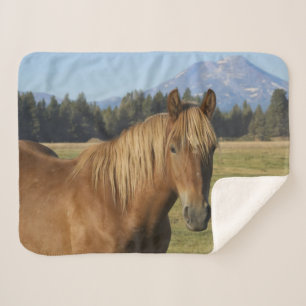 Cobertor Sherpa Faixa da Cascata Cavalo Castanho