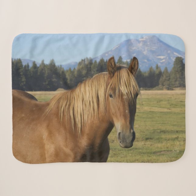 Cobertor Sherpa Faixa da Cascata | Cavalo Castanho (Frente (Horizontal))