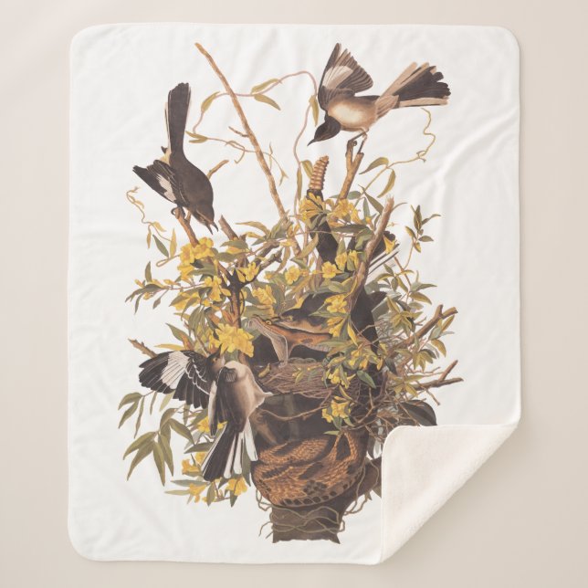 Cobertor Sherpa Família Audubon Mockingbird vs Cobra (Frente)