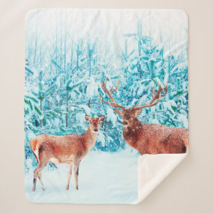 Cobertor Sherpa Família de cervos nobres num inverno de neve. Nat