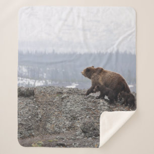 COBERTOR SHERPA FAMÍLIA DE URSOS NO YELLOWSTONE