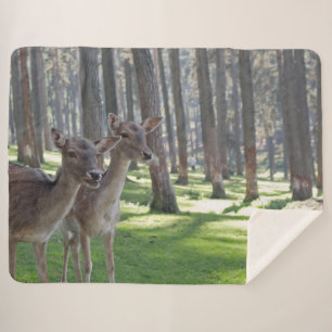 COBERTOR SHERPA FAWNS