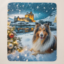 Férias de Collie