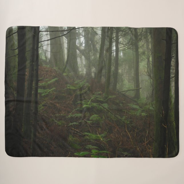 Cobertor Sherpa FERNS no FORREST (Frente (Horizontal))