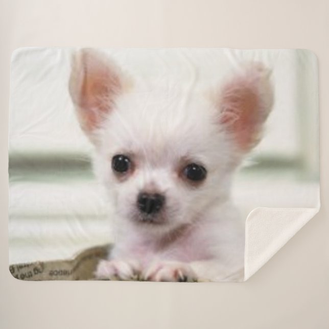 COBERTOR SHERPA FILHOTE DE CACHORRO DA CHIHUAHUA (Frente (Horizontal))