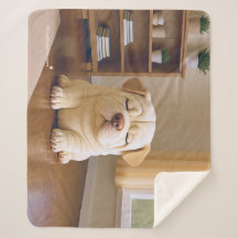 Filhote de Shar Pei - Serenidade Suave por WangWan
