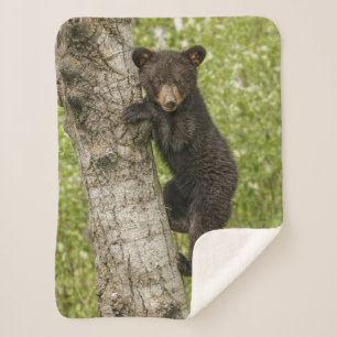 Cobertor Sherpa Filhote de Urso Negro na Árvore