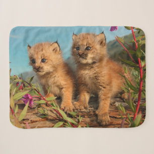 Cobertor Sherpa Filhotes de Lince Canadense, Alasca
