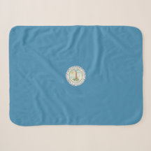 Flag of Virginia Beach (Virginia, EUA)