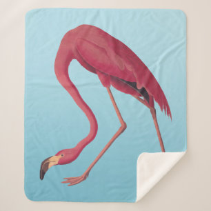 Cobertor Sherpa Flamingo, Rosa Americano, Vintage Art Fleece Blank