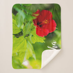 Cobertor Sherpa Flor Tropical de Red Hibiscus