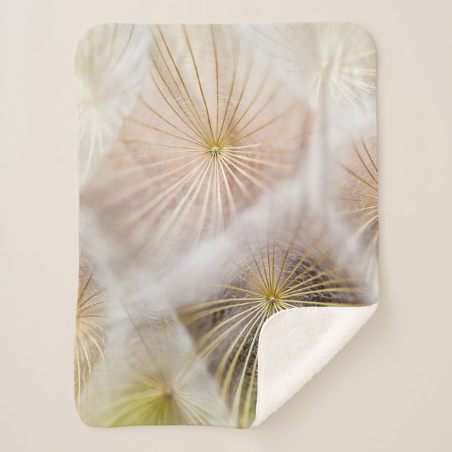 Cobertor Sherpa Flores de dandelion brancas (Frente)