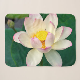 Cobertor Sherpa Flores Flor de Água Lotus