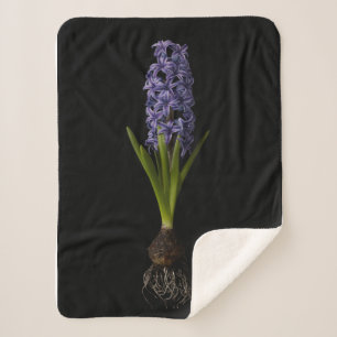 Cobertor Sherpa Flores Lâmpada de Hyacinth Roxa
