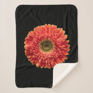 Cobertor Sherpa Flores Orange Gerbera Daisy