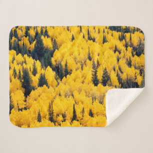 Cobertor Sherpa Floresta Nacional de White River Aspen, Colorado
