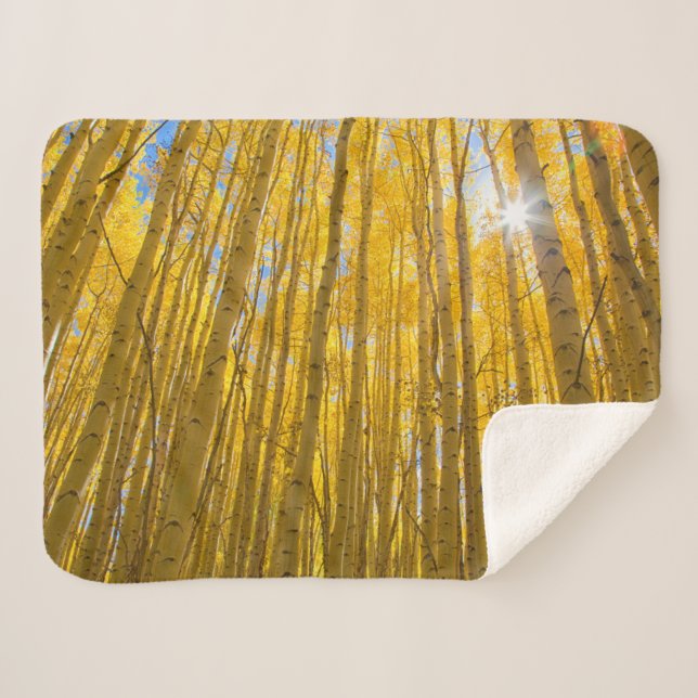 Cobertor Sherpa Floresta Nacional do Rio Branco (Frente (Horizontal))