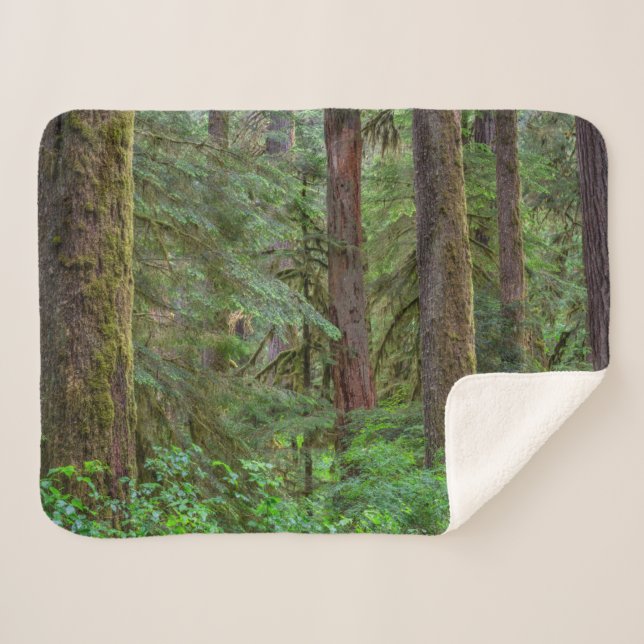 Cobertor Sherpa Floresta Nacional Willamette | Oregon (Frente (Horizontal))