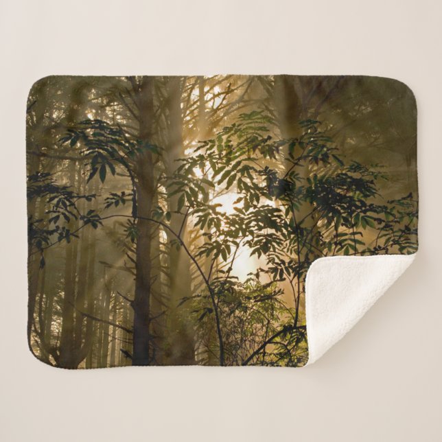 Cobertor Sherpa Floresta Perene | Costa do Oregon (Frente (Horizontal))