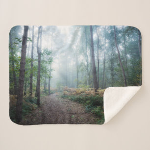 Cobertor Sherpa Florestas   Dark Foggy Woods Norfolk UK