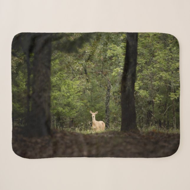 Cobertor Sherpa Florestas | Veado branco na floresta (Frente (Horizontal))