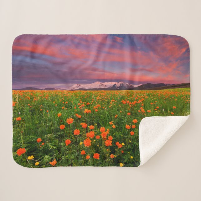 Cobertor Sherpa Flowers | Wildflower Field Snowcapped Mountains (Frente (Horizontal))