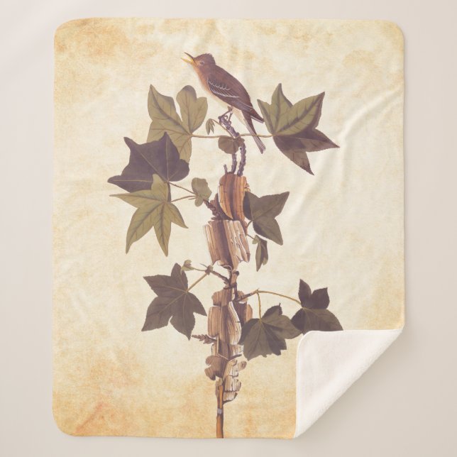 Cobertor Sherpa Flycatcher Songbird de Audubon Traill (Frente)