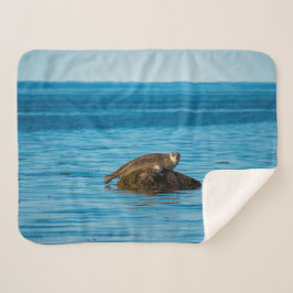 Cobertor Sherpa Foca-do-porto Atlântico