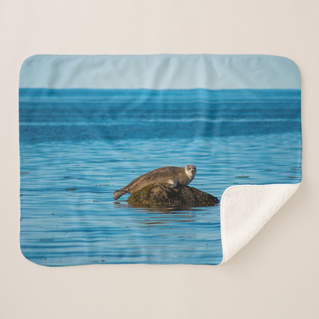 Cobertor Sherpa Foca-do-porto Atlântico (Frente (Horizontal))