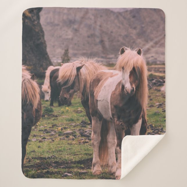 COBERTOR SHERPA FOCUS FOTOGRAFIA DE CAVALOS