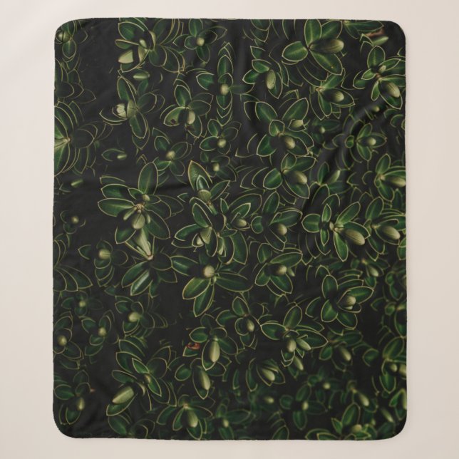 Cobertor Sherpa Folha verde (Frente)