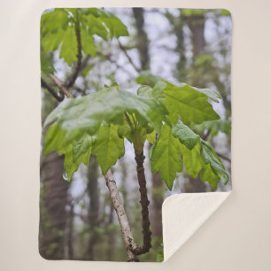 Cobertor Sherpa Folhas da Floresta Após Chuva – Natureza Selvagem