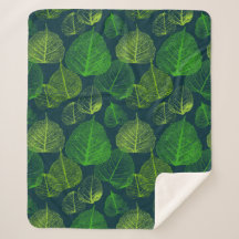 Folhas de esqueleto de estética biofílica