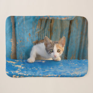 Cobertor Sherpa Foto curiosa engraçada dos olhos do gatinho bonit