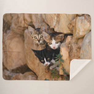 Cobertor Sherpa Foto engraçada de três caras curiosas bonitos do