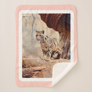 Cobertor Sherpa foto-leopardo nublada natureza vida selvagem exóti